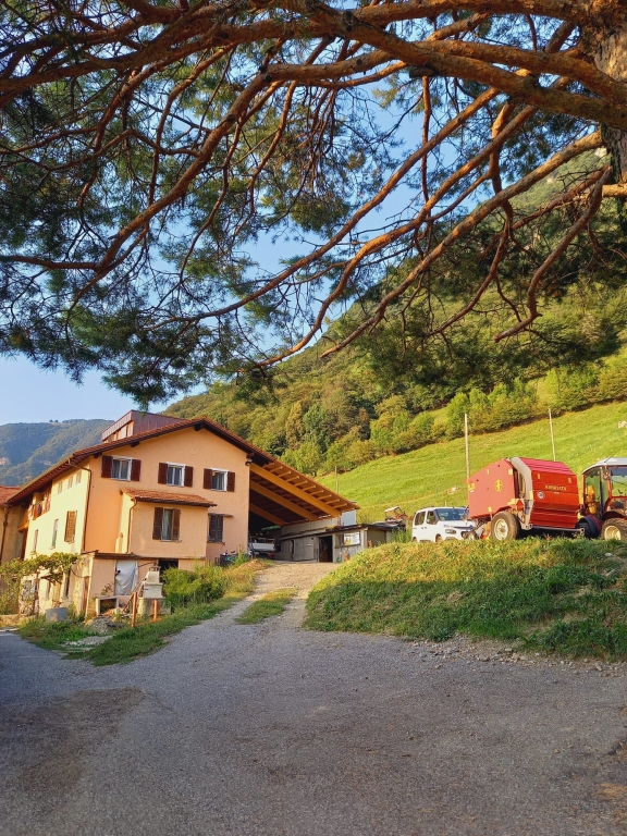 Azienda agricola 